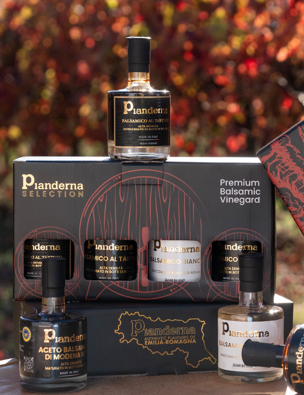 BOX 1 - Degustazioni Aceti