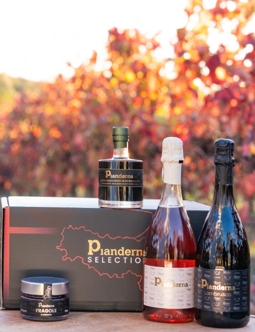 BOX 2 - Lambrusco e Aceto