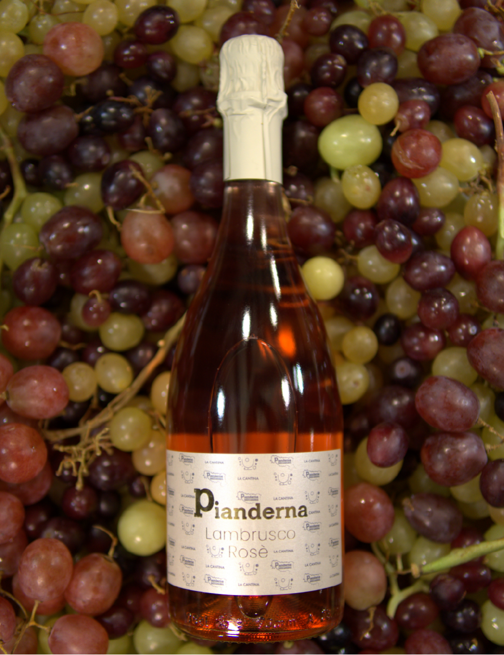 Lambrusco DOC Rosè - Spumante Brut